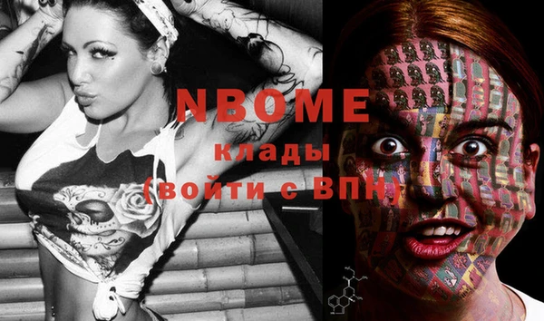 прущие крисы Коряжма