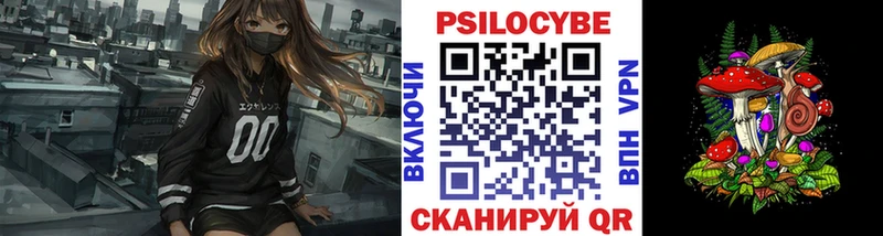 Купить закладки  Козельск  Галлюциногенные грибы Psilocybine cubensis 